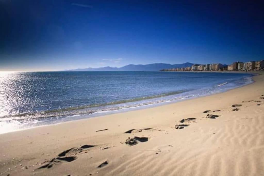 Corail Daire Canet-en-Roussillon Dış mekan fotoğraf